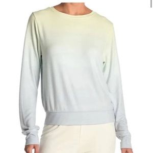 New!‎ Wildfox Baggy Beach Jumper in Shore Green Ombre